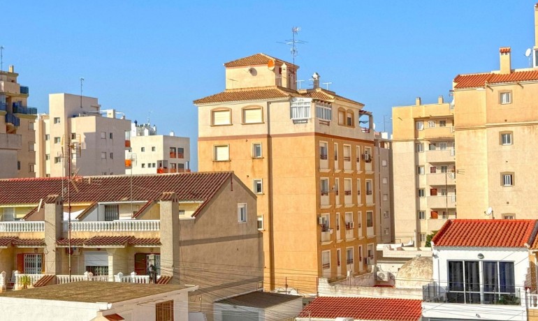 Venta - Apartamento / piso -
Torrevieja