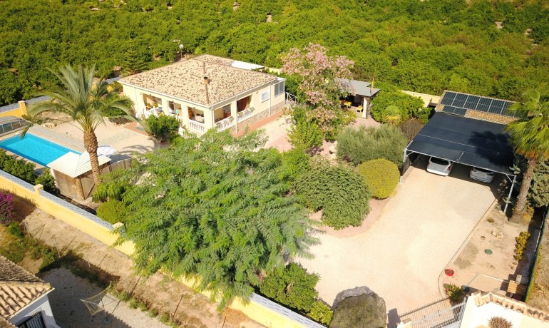 Herverkoop - Finca / Landgoed -
Orihuela* - La Campaneta
