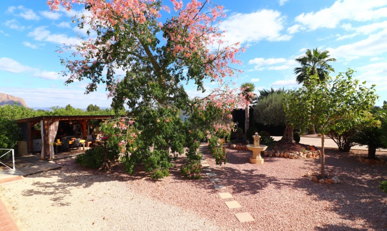 Herverkoop - Finca / Landgoed -
Orihuela* - La Campaneta