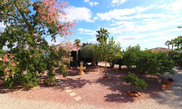 Herverkoop - Finca / Landgoed -
Orihuela* - La Campaneta