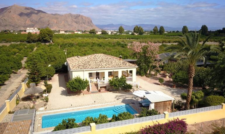 Herverkoop - Finca / Landgoed -
Orihuela* - La Campaneta