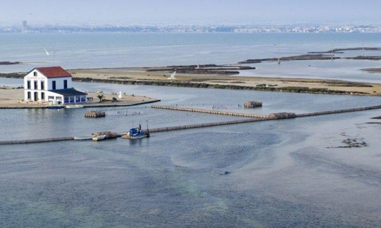 Nieuwbouw - Villa -
San Pedro del Pinatar* - Centro