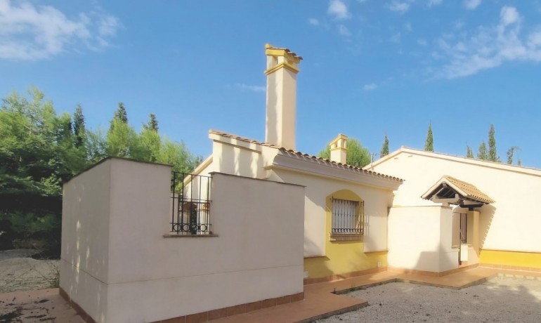Nieuwbouw - Villa -
Fuente Alamo* - Las Palas