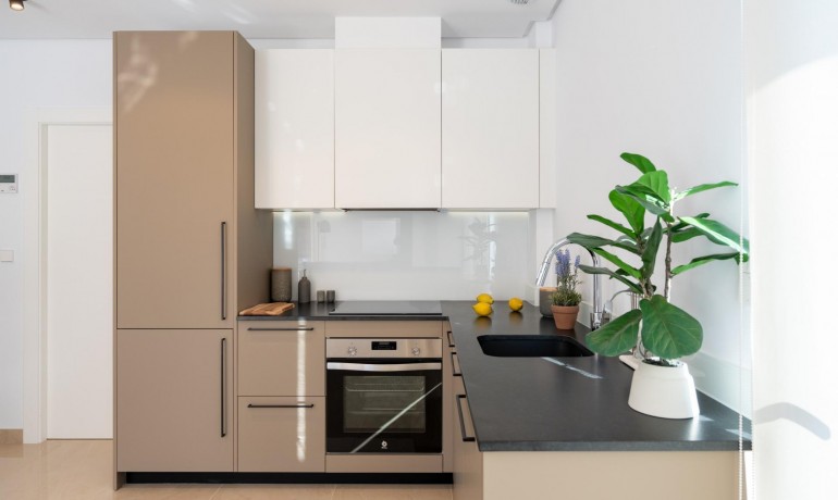 Nouvelle construction - Maison -
Gran Alacant