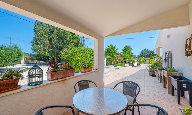 Herverkoop - Finca / Landgoed -
Elche* - Elche/Elx