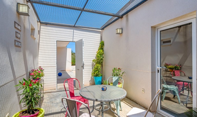 Herverkoop - Finca / Landgoed -
Elche* - Elche/Elx