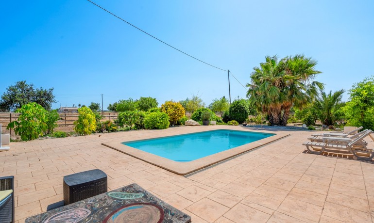 Herverkoop - Finca / Landgoed -
Elche* - Elche/Elx