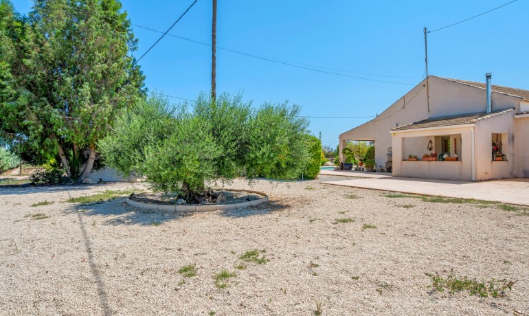 Herverkoop - Finca / Landgoed -
Elche* - Elche/Elx