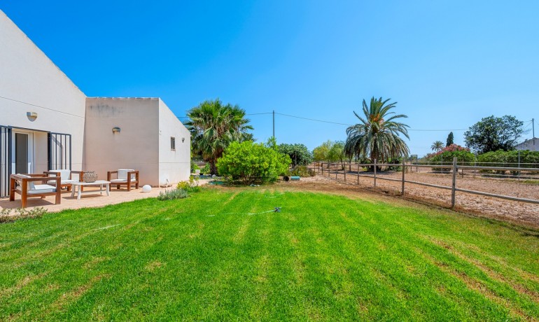 Herverkoop - Finca / Landgoed -
Elche* - Elche/Elx