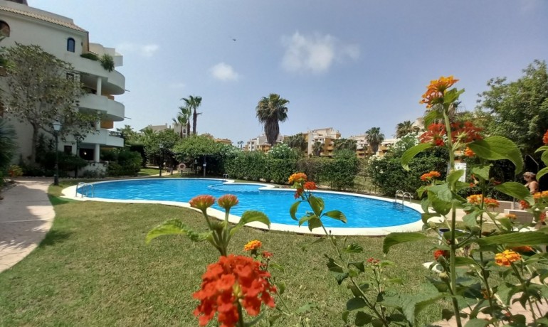 Sale - Apartment / Flat -
Punta Prima* - Punta Prima