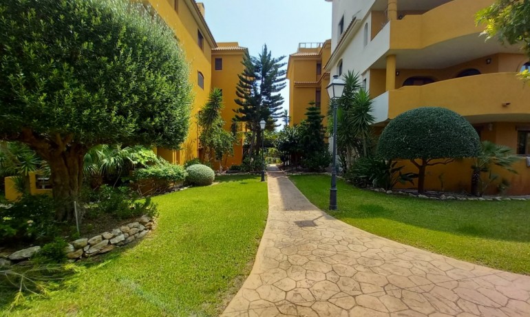 Sale - Apartment / Flat -
Punta Prima* - Punta Prima