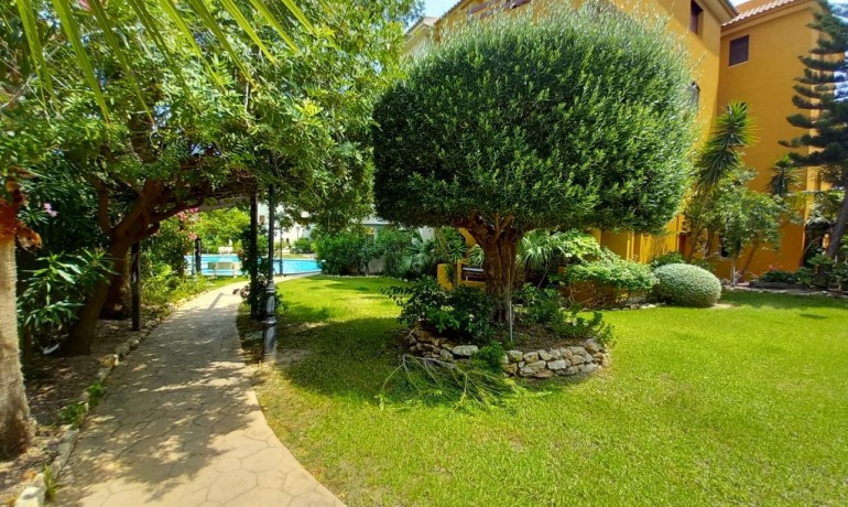 Sale - Apartment / Flat -
Punta Prima* - Punta Prima