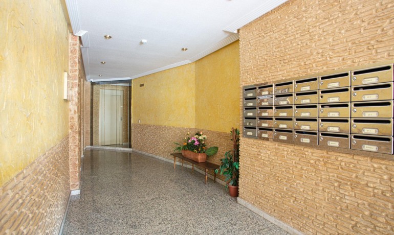 Herverkoop - Appartement / Flat -
Torrevieja* - Centro