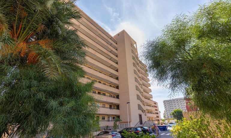 Herverkoop - Appartement / Flat -
Torrevieja* - La Mata