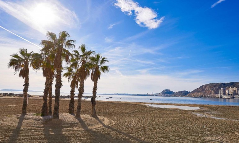 Nieuwbouw - Villa -
Els Poblets - Partida Barranquets