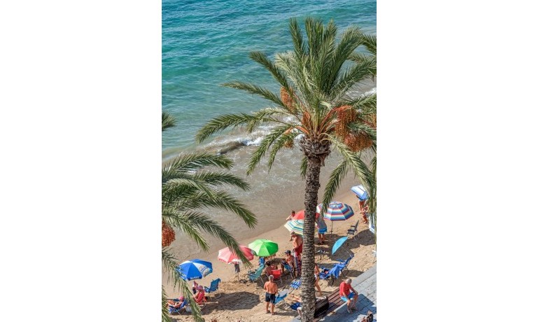 Sale - Apartment / Flat -
Torrevieja* - Torrevieja