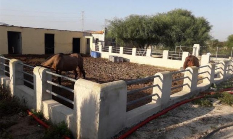 Herverkoop - Villa -
La Mata - La Matanza