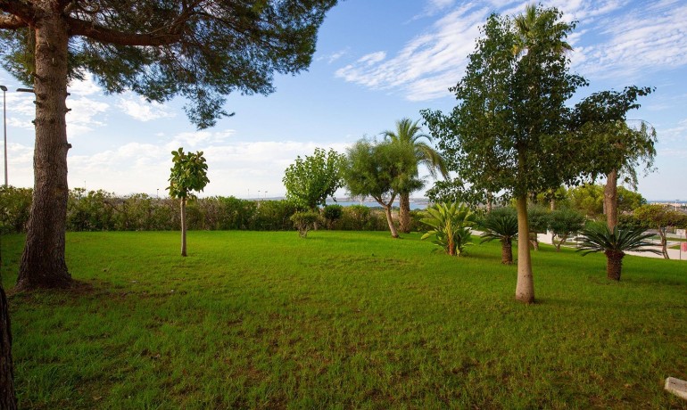 Herverkoop - Appartement / Flat -
Torrevieja* - Torreblanca