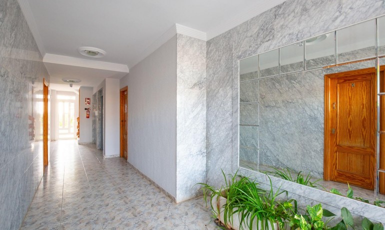 Herverkoop - Appartement / Flat -
Torrevieja* - Torreblanca