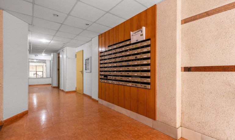 Herverkoop - Appartement / Flat -
Torrevieja* - Estacion de autobuses