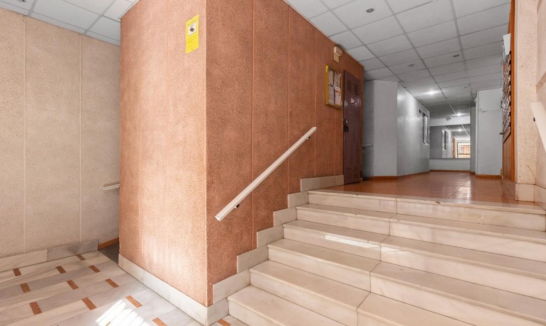 Herverkoop - Appartement / Flat -
Torrevieja* - Estacion de autobuses