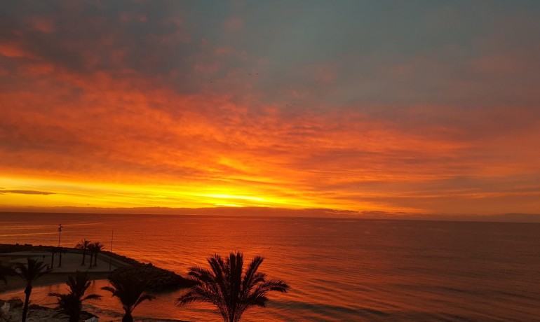 Herverkoop - Appartement / Flat -
Torrevieja* - Playa Del Cura