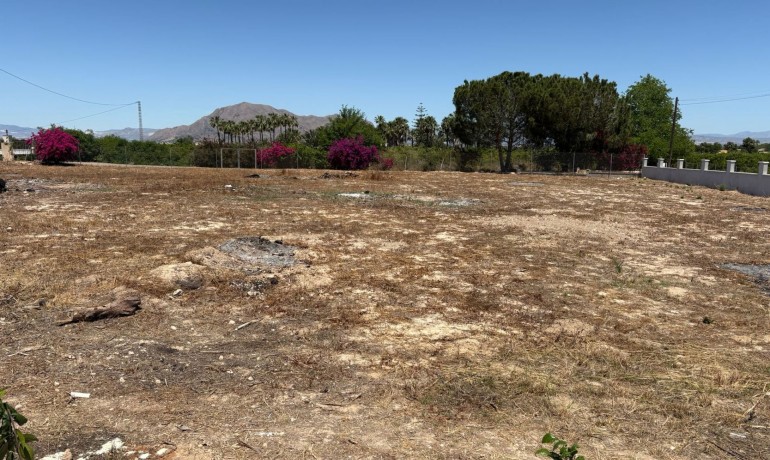 Herverkoop - Villa -
Jacarilla - Jacarilla - Country