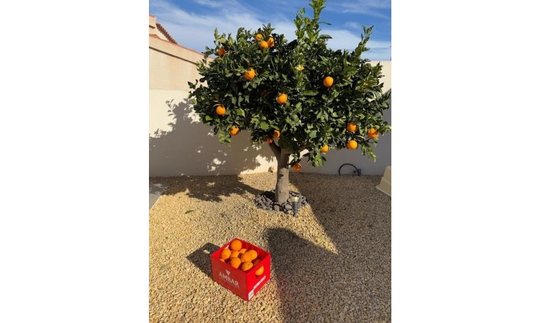 Venta - Villa -
Ciudad Quesada - Ciudad Quesada - Town