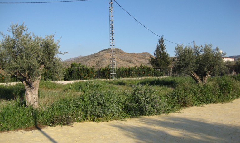 Venta - Finca Country Property -
Benferri