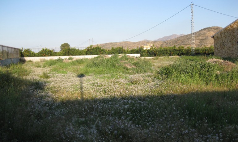 Venta - Finca Country Property -
Benferri