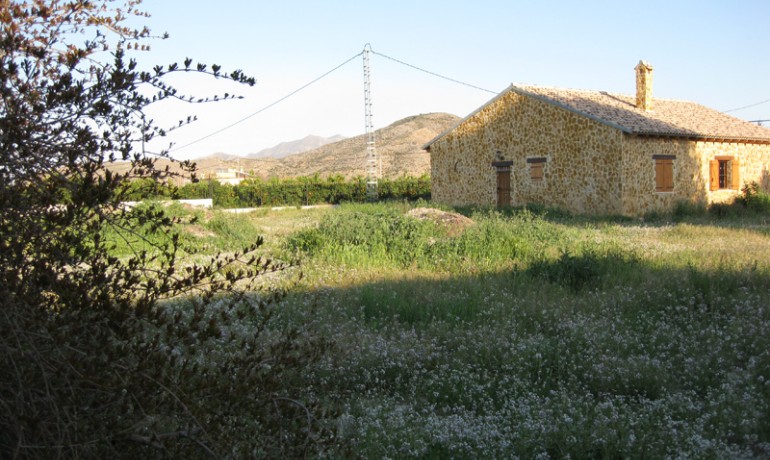 Venta - Finca Country Property -
Benferri