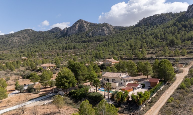 Venta - Villa -
La Zarza