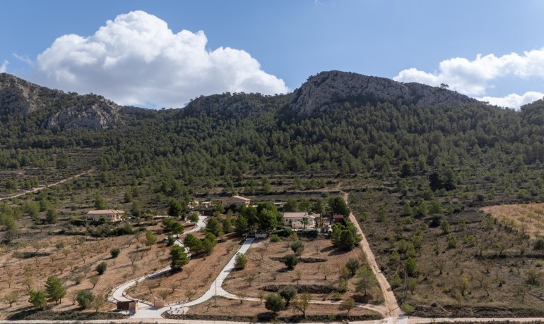 Venta - Villa -
La Zarza