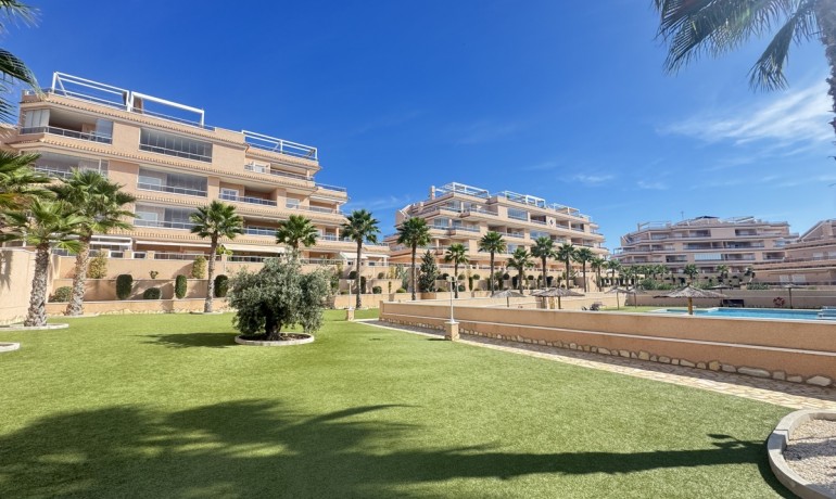 Revente - Appartement / Flat -
Villamartin