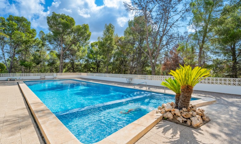 Herverkoop - Appartement / Flat -
La Nucia* - La Nucia