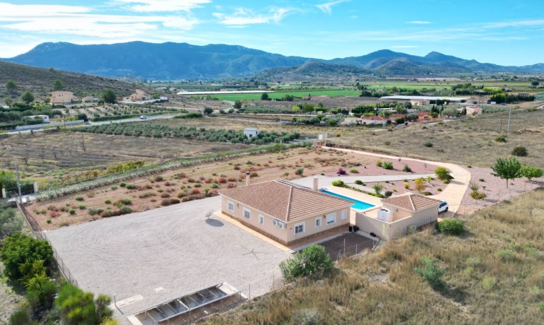 Herverkoop - Villa -
Hondón de las Nieves - Hondón de las Nieves*