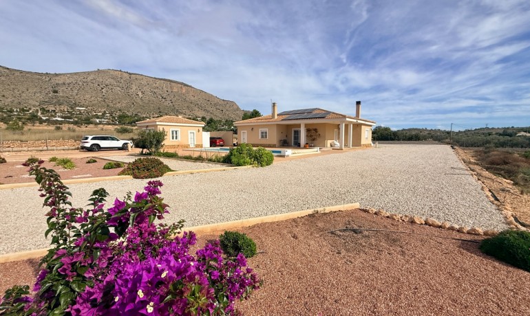 Herverkoop - Villa -
Hondón de las Nieves - Hondón de las Nieves*