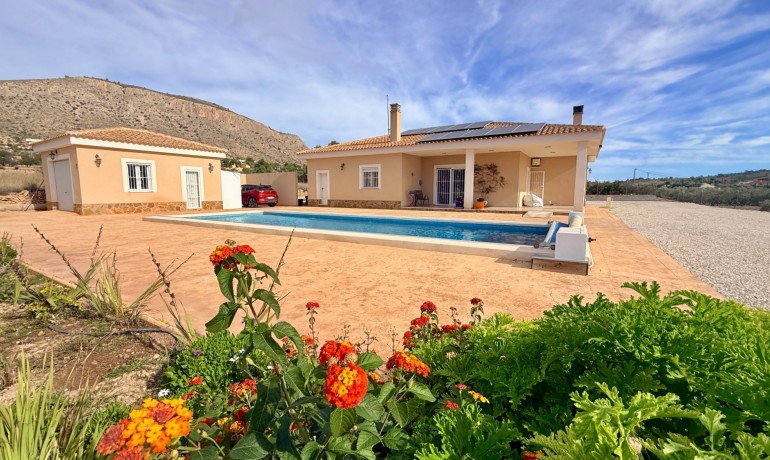 Herverkoop - Villa -
Hondón de las Nieves - Hondón de las Nieves*