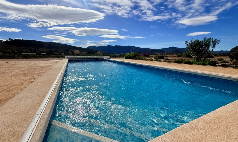 Herverkoop - Villa -
Hondón de las Nieves - Hondón de las Nieves*