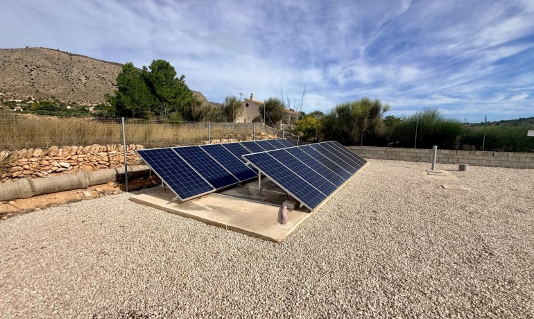 Herverkoop - Villa -
Hondón de las Nieves - Hondón de las Nieves*