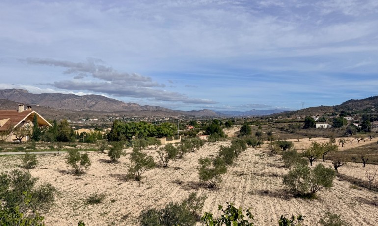 Revente - Villa -
Hondon de los frailes - Hondon de los Frailes*