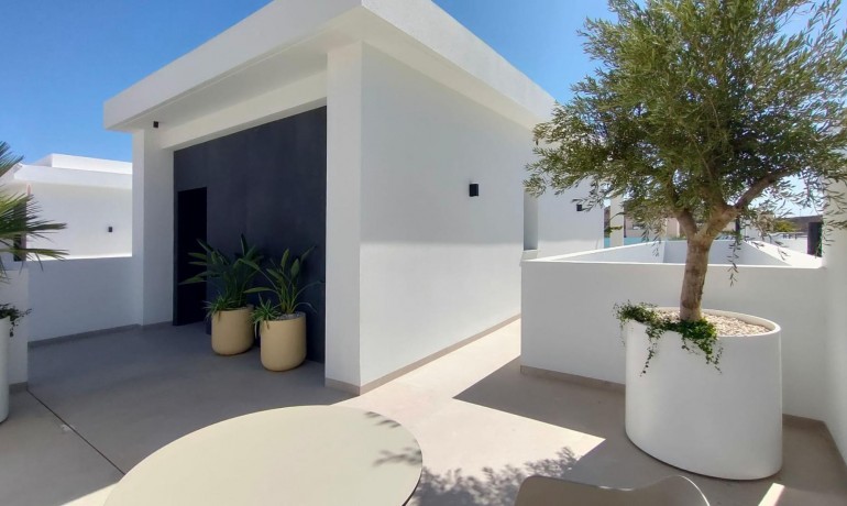 Nieuwbouw - Villa -
Rojales - Ciudad Quesada