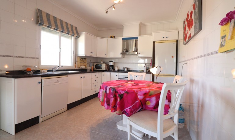 Herverkoop - Finca / Landgoed -
Catral* - Catral - Country