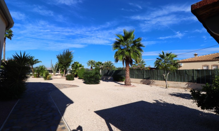 Herverkoop - Finca / Landgoed -
Catral* - Catral - Country