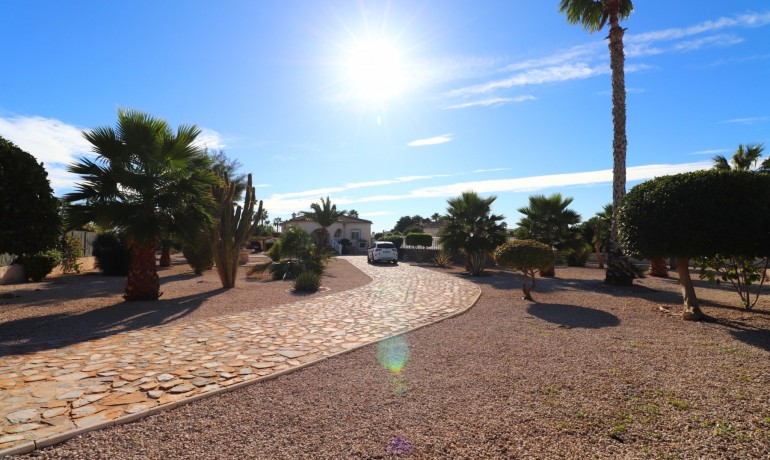 Herverkoop - Finca / Landgoed -
Catral* - Catral - Country