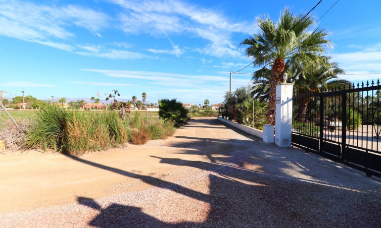 Herverkoop - Finca / Landgoed -
Catral* - Catral - Country