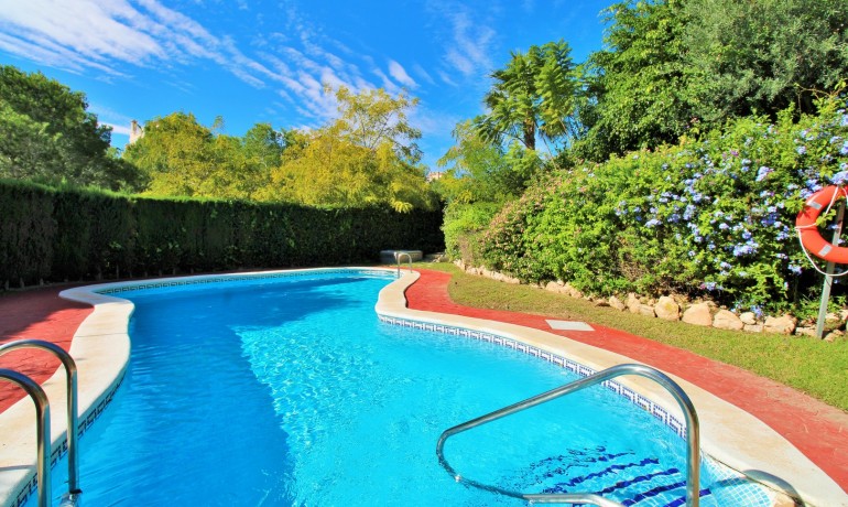 Herverkoop - Appartement / Flat -
Playa Flamenca