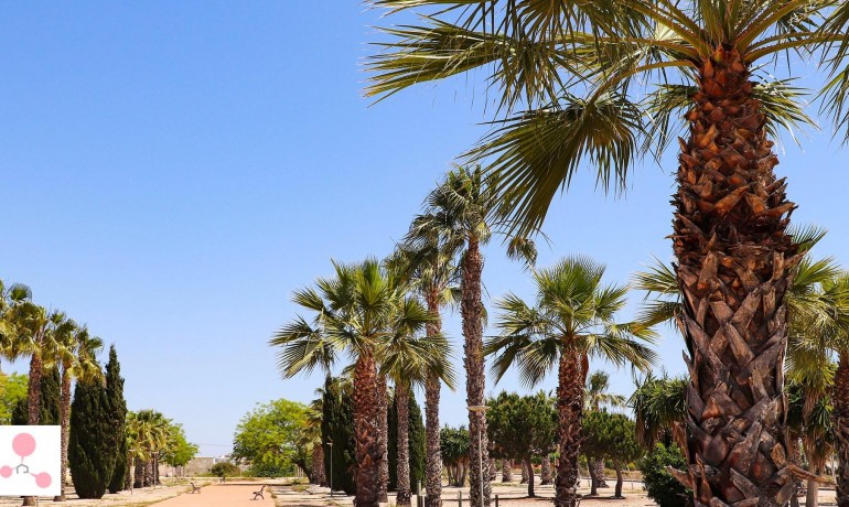 Nieuwbouw - Villa -
San Fulgencio - La Escuera