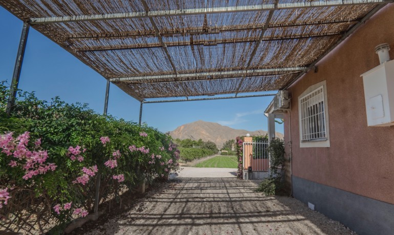 Herverkoop - Finca / Landgoed -
Orihuela* - San Bartolome