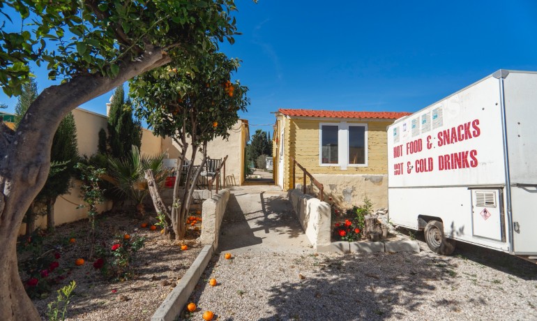 Herverkoop - Finca / Landgoed -
Los Montesinos* - Los Montesinos - Country